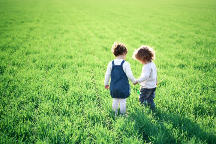Children in spring field
